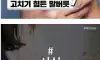 한국인은 고치기 힘든 말버릇