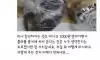 가게에서 콜라를 갖다 줬는데 ㄷㄷ