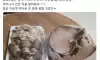 순대와 함께 간을 많이 삶았다며 넉넉히 넣으셨다는 사장님