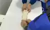 엑스레이 처음 찍어보는 새끼 고양이