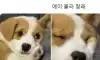 날 싫어하면 어쩌지