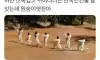 하얀 소복 입고 뛰어다니는 한국인인 줄 알았는데...
