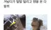 존버하다가 휴지조각 됨