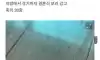 축의금 30만원 내고 받은 선물