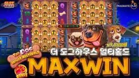온라인 슬롯 사이트 후기 [프라그마틱 플레이] 더 도그하우스 멀티홀드 9,000배 맥스윈!!- 슬롯 커뮤니티…