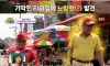 패션의 거리 동묘 근황