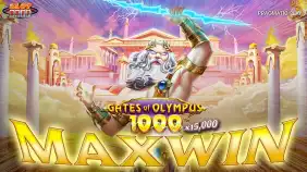 게이츠 오브 올림푸스 1000 15,000배 맥스윈!! [프라그마틱]