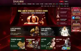 샬롬 먹튀
