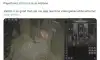 세계 최고의 부자 일론 머스크가 홍보하는 스타링크