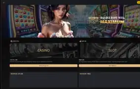 맥시멈  먹튀