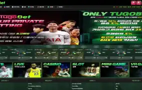 투고벳 먹튀