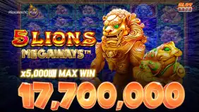 5 라이언 메가웨이즈 두꺼비 한바닥! x5,000배 맥스윈!! [프라그마틱]