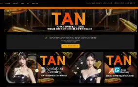 TAN 먹튀
