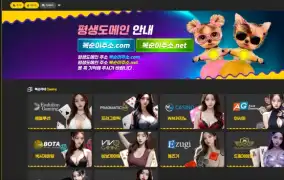 복순이 먹튀