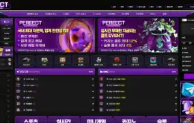 퍼펙트 먹튀