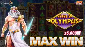 게이츠 오브 올림푸스 x5,000배 맥스윈!!  [프라그마틱]