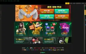 나무 먹튀