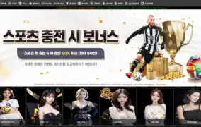 비스타 먹튀