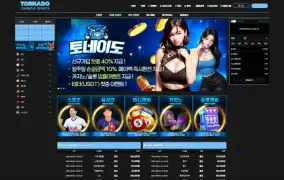 토네이도 먹튀