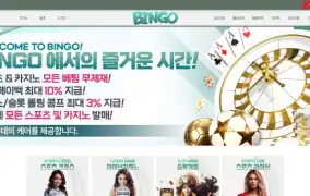 빙고 먹튀