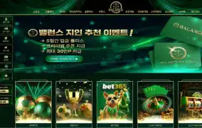 밸런스 먹튀