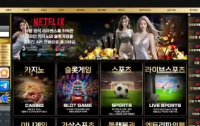 넷플릭스 먹튀