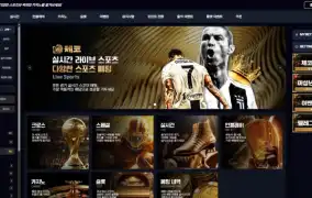 체코 먹튀