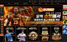 슈벳 먹튀
