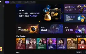 벳라이즈 먹튀