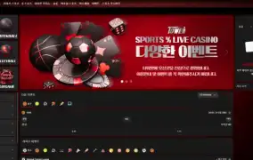 타워카지노 먹튀