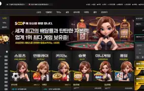 숲 먹튀