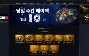 욜로 먹튀