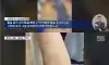 요즘 유치원 교사 근황