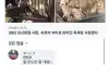 물 온도만 내려서 업종 변경한 사장님