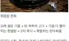 한국인 최악의 식습관 중 하나