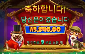 와일드 위치 예술이네 ㅋㅋ