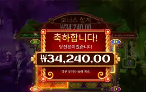 럭키와일드