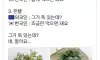 외국인 : 그거 독 있는데? / 한국인 : 네. 알아요