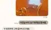 자영업자가 망하는 이유
