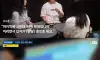 청년 행사인 척 포교하는 신천지