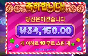 젤리 젤리