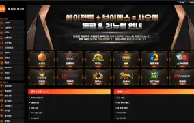 샤오미 먹튀