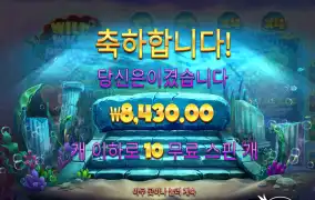 와일드펄스 리뷰