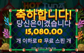 핫투나 1.5