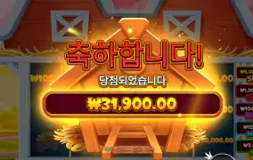 비거반 3.1콩