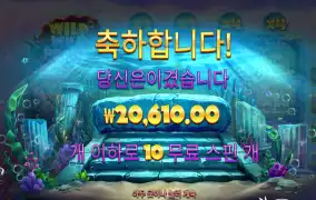 와일드펄스 2콩