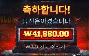 포징와일드 4콩