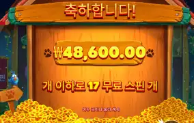 빅도그 스핀 잘받았는데