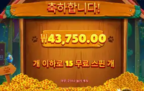와일드 위치가 영