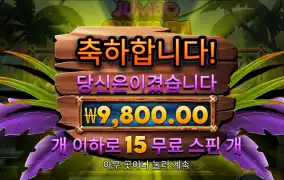 점보 후기